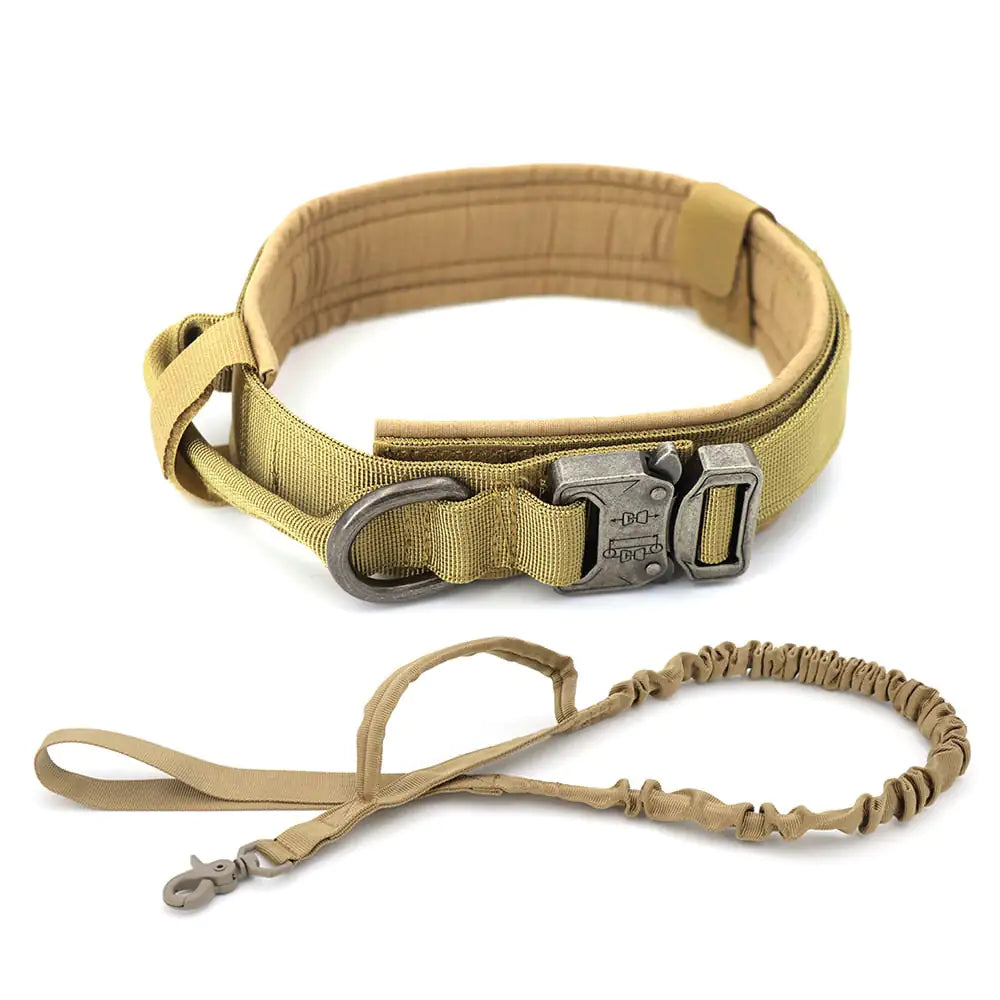 Tactical Collar and Leash Set