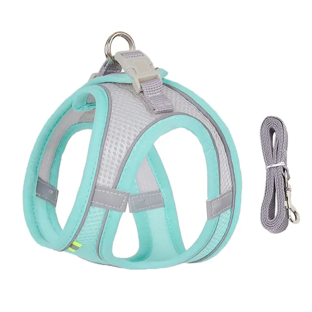 Harness & Leash Set