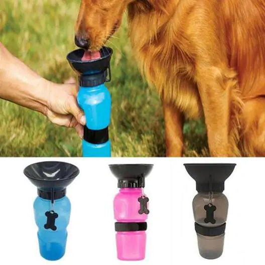 Portable Water Bottle