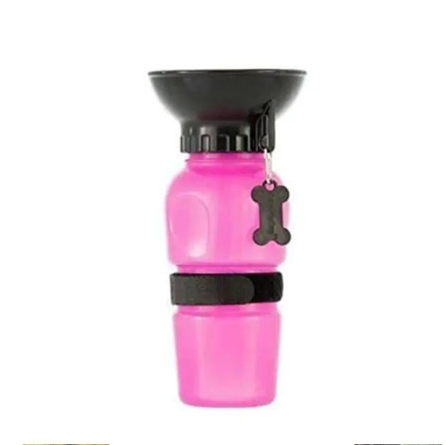 Portable Water Bottle