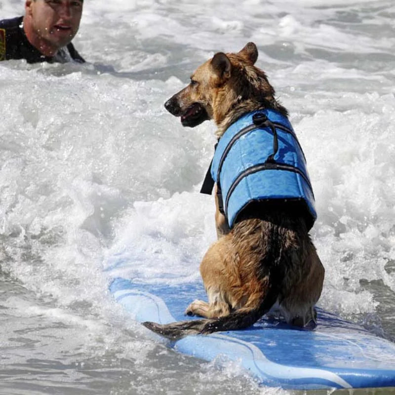 Dog Life Jacket