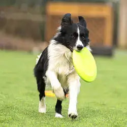 Rubber Flying Disc