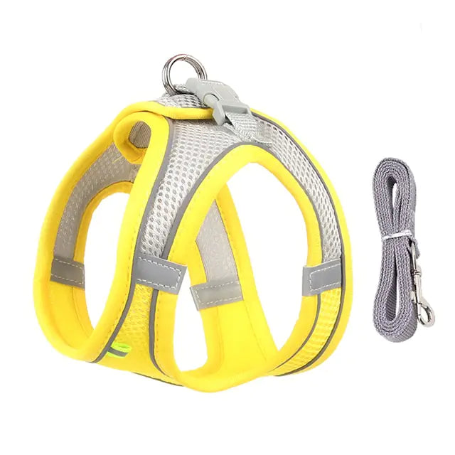 Harness & Leash Set