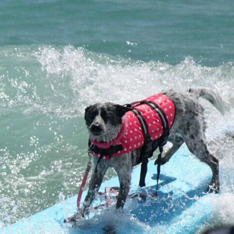 Dog Life Jacket