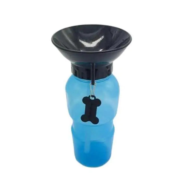 Portable Water Bottle