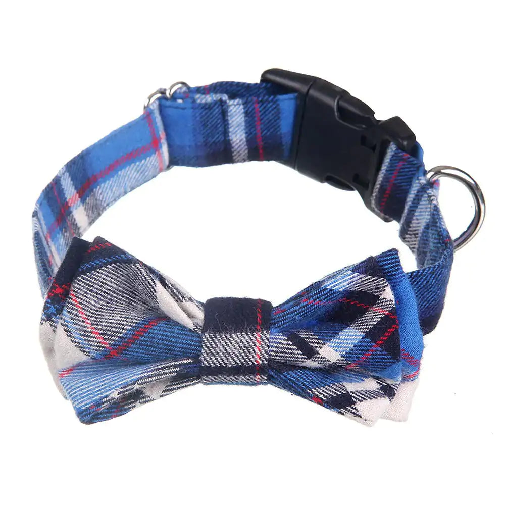 Bow Tie Collar