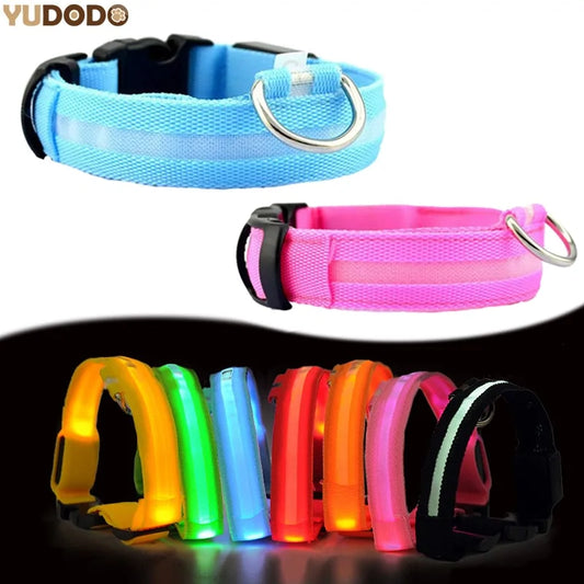 LED Collar