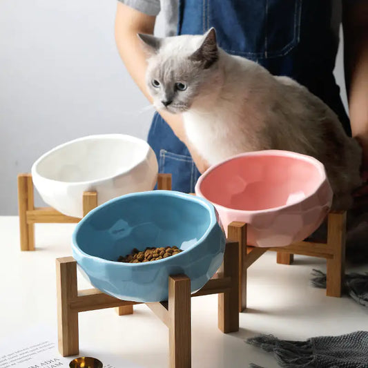 Purr-fect Pet Bowl