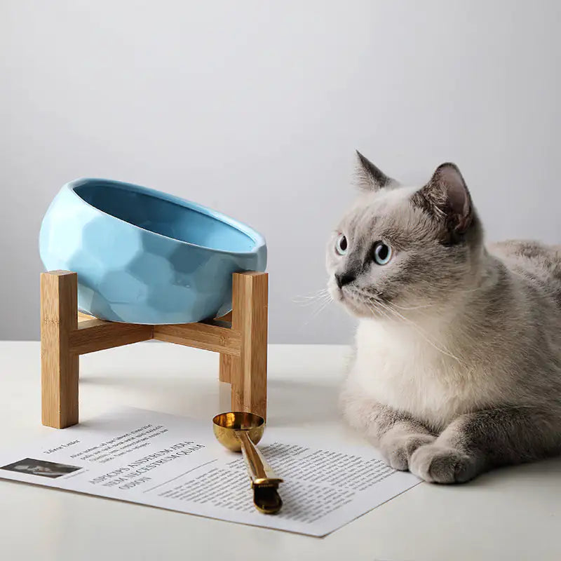 Purr-fect Pet Bowl