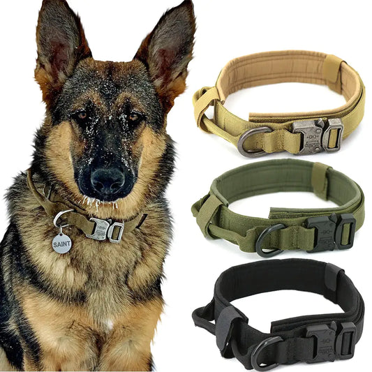 Tactical Collar and Leash Set