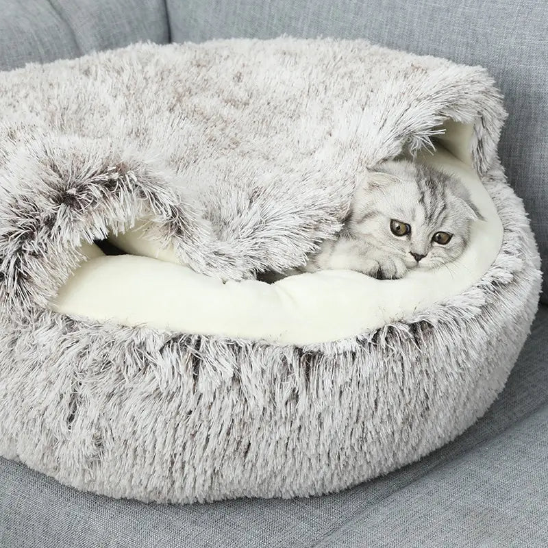 Plush Bed with Cover