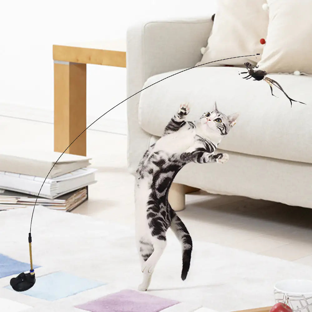 Suction Cup Feather Toy