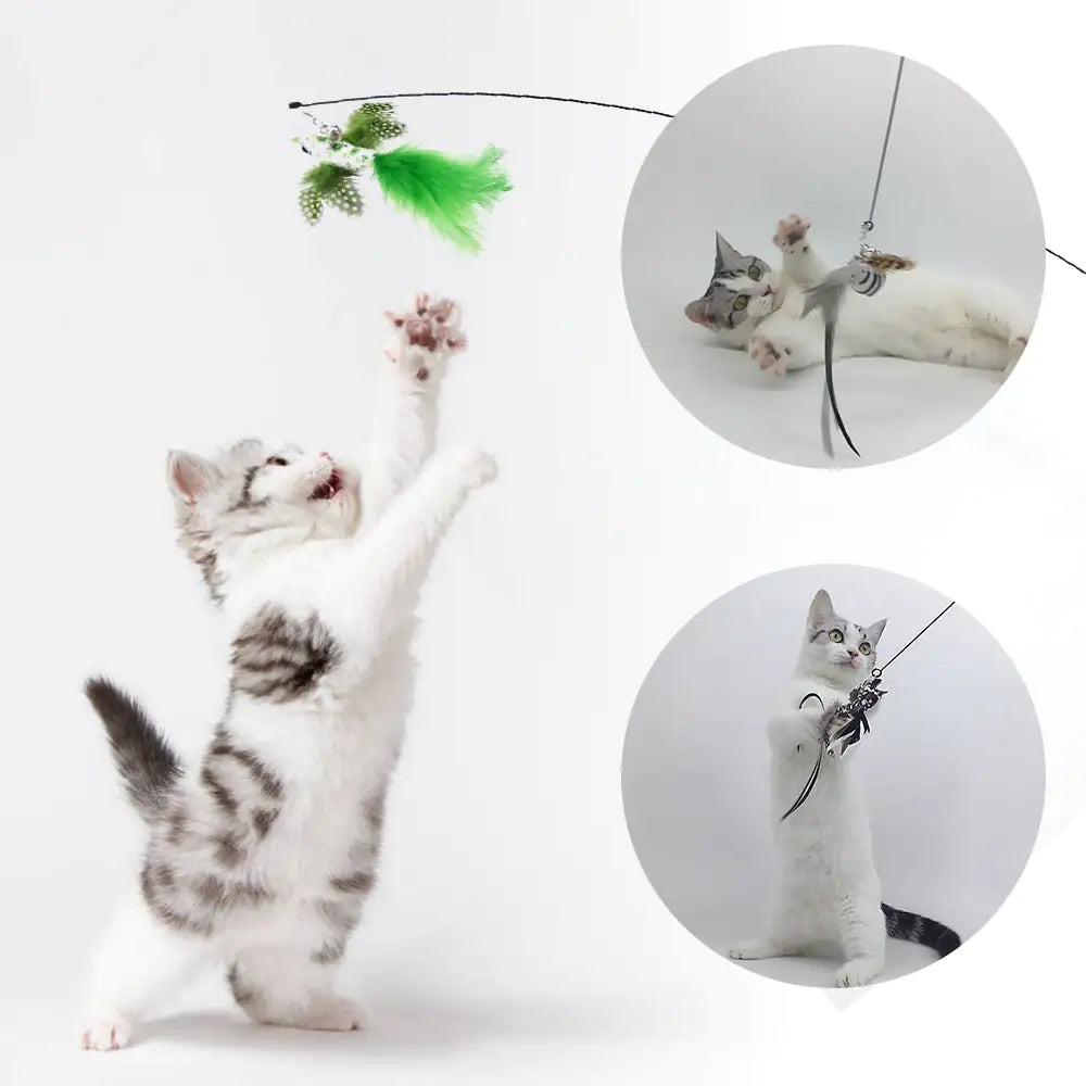 Suction Cup Feather Toy