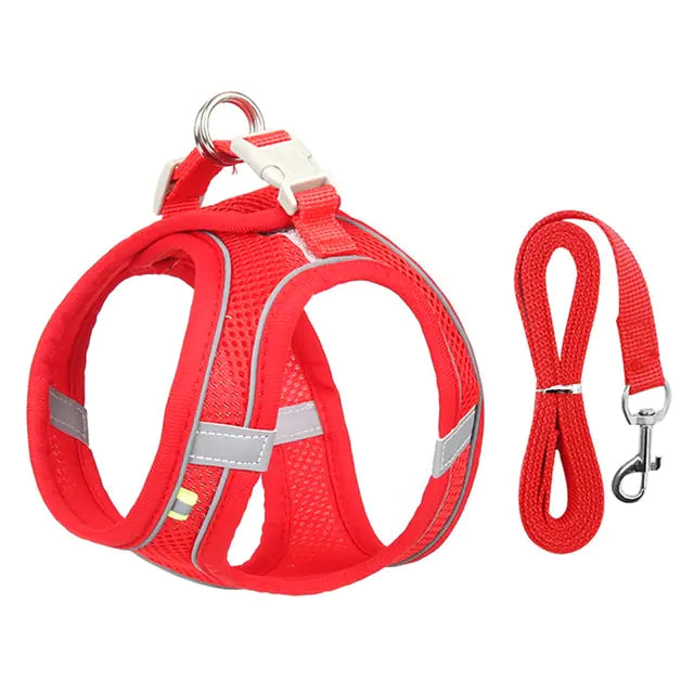 Harness & Leash Set