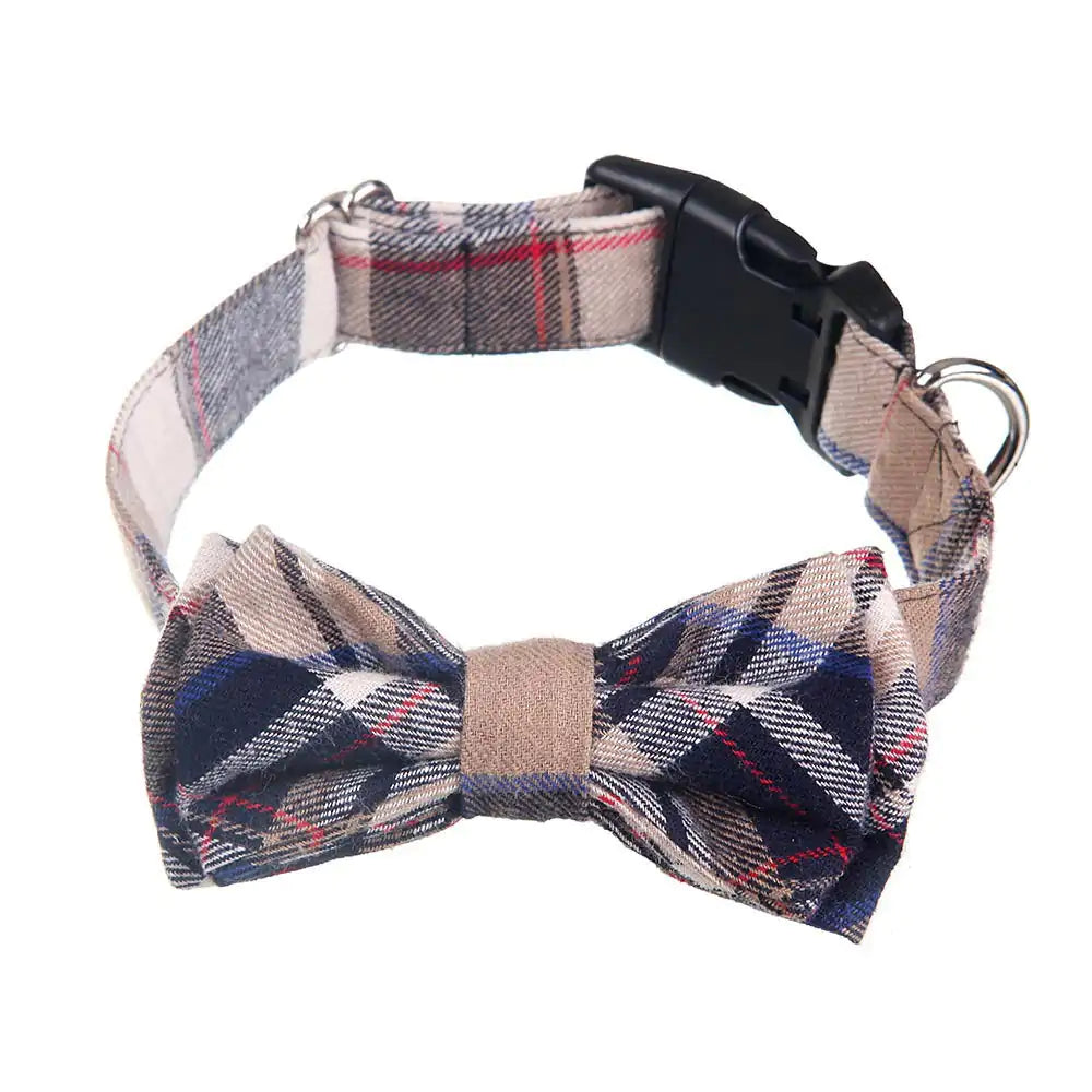 Bow Tie Collar