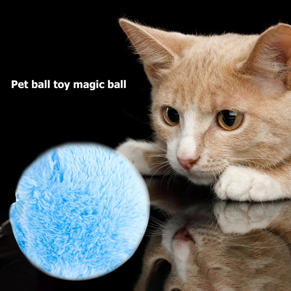 Magic Roller Automatic Pet Ball