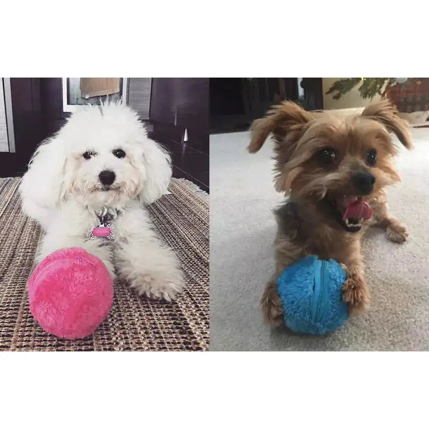 Interactive Rolling Ball Toy