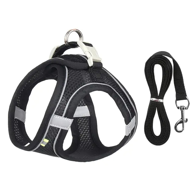 Harness & Leash Set