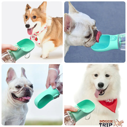 3 in 1 Dog Water Bottle & Feeder