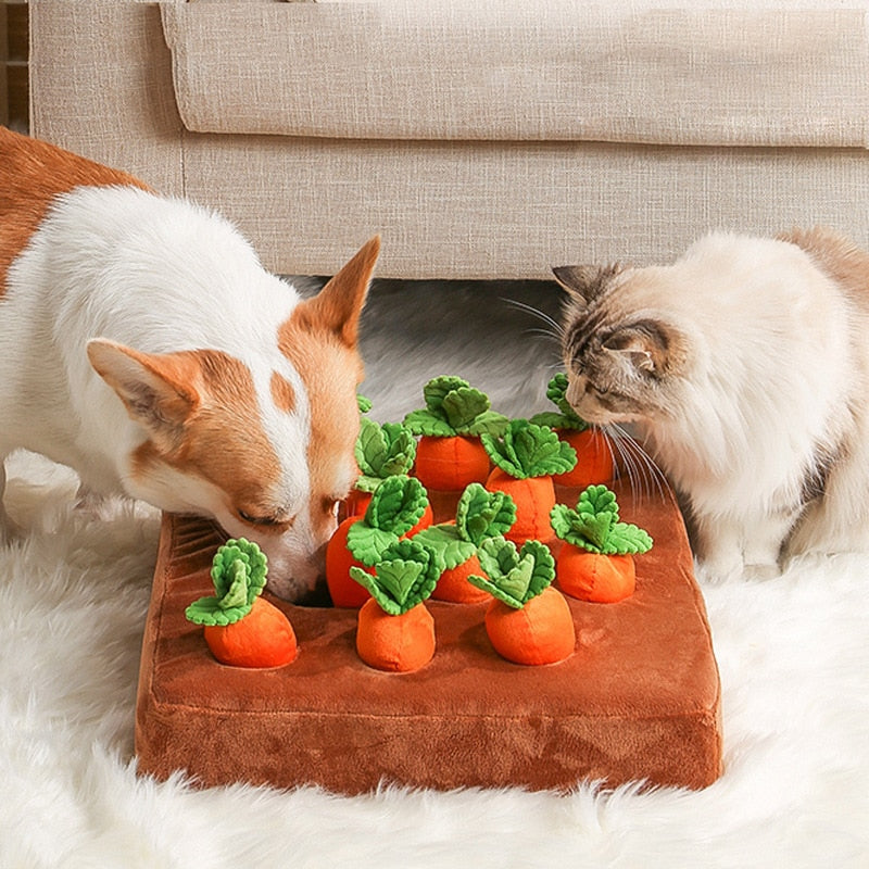 Dog Carrot Puzzle