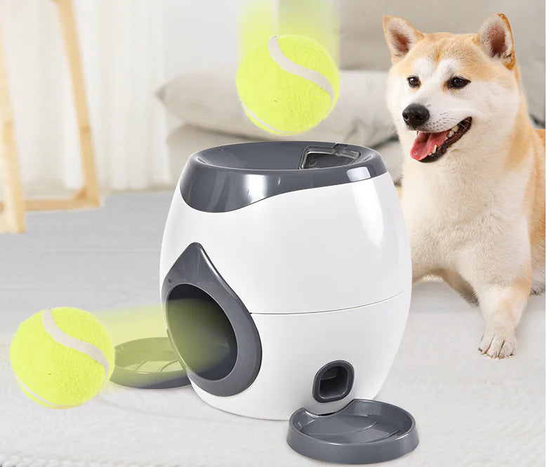 Smart Interactive Ball Toy