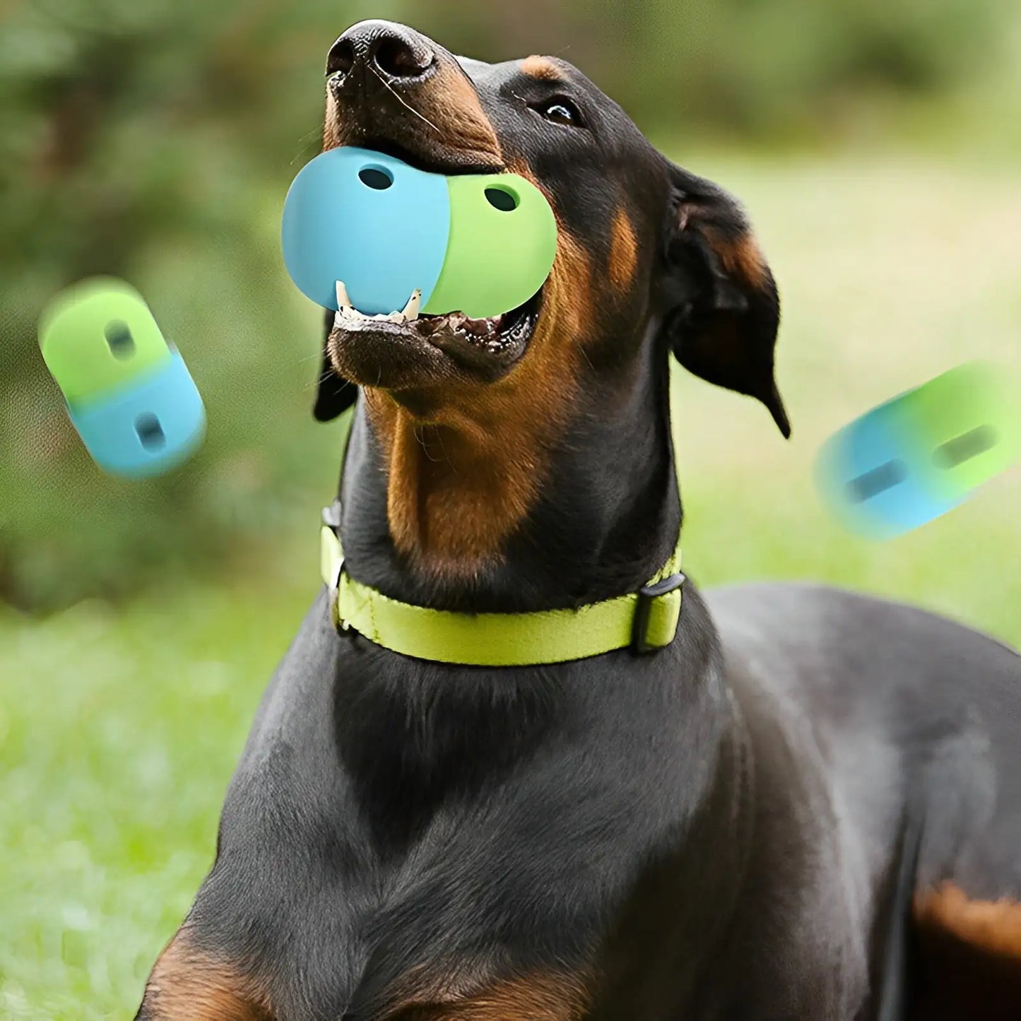 Puzzle Treat Toy