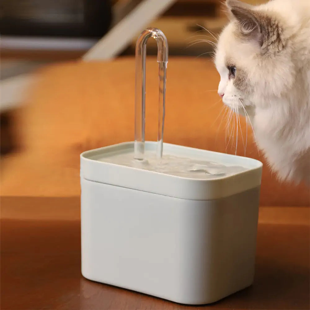 Water Dispenser Bowl