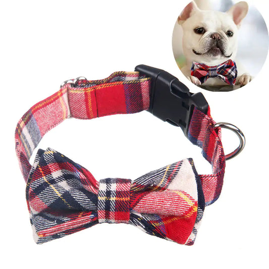 Bow Tie Collar