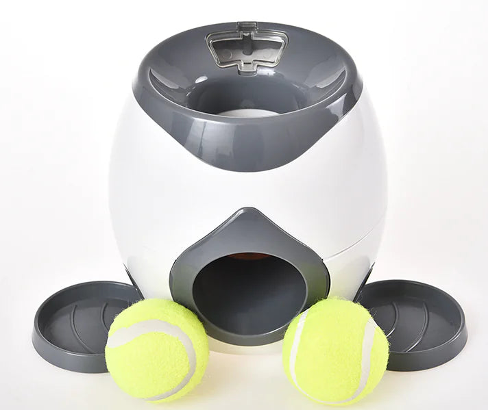 Smart Interactive Ball Toy