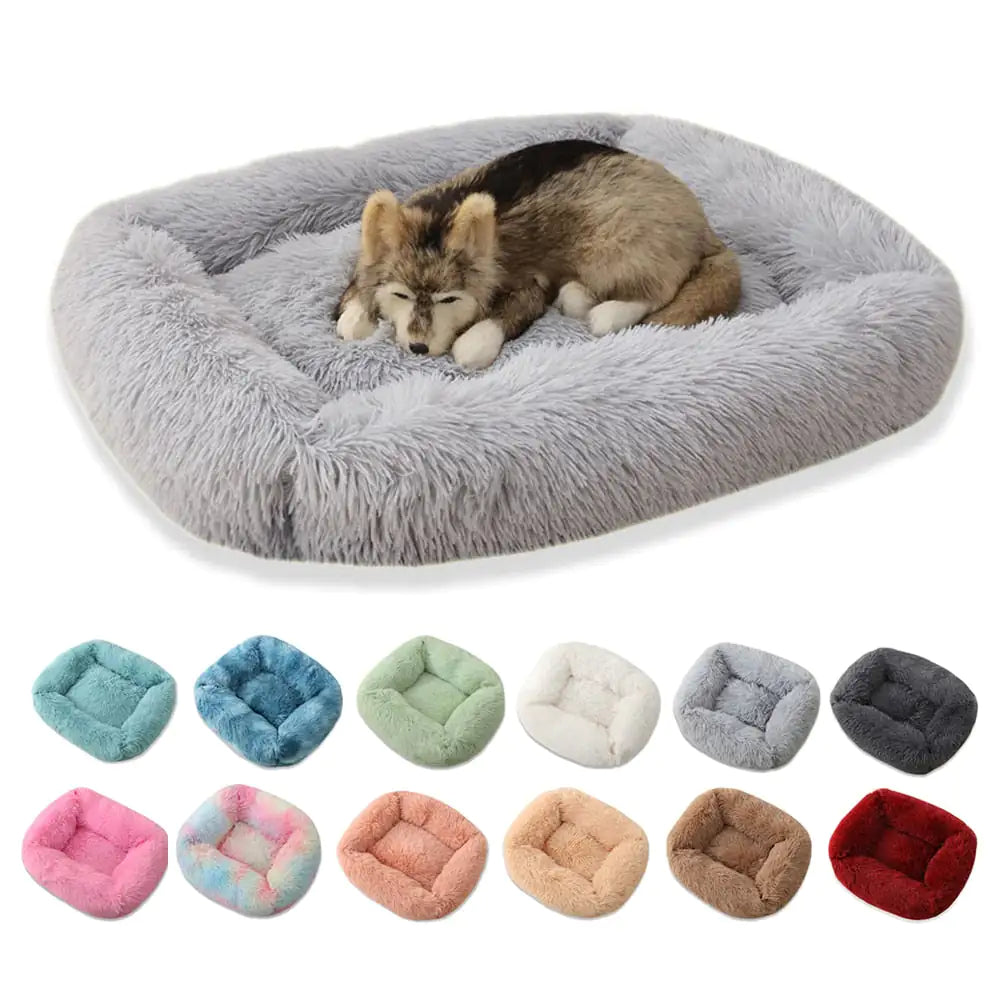 Plush Bed