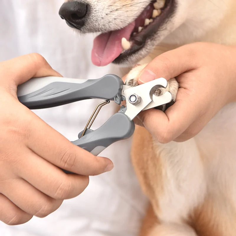 Nail Clippers