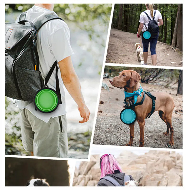 Collapsable Pet Bowl