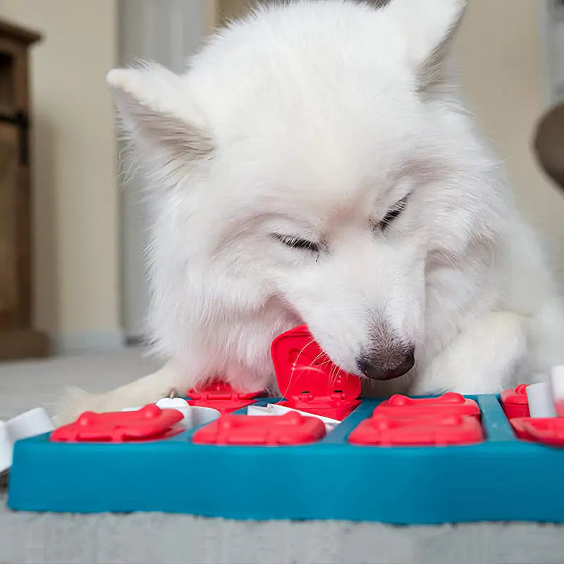 Treasure Puzzle Toy